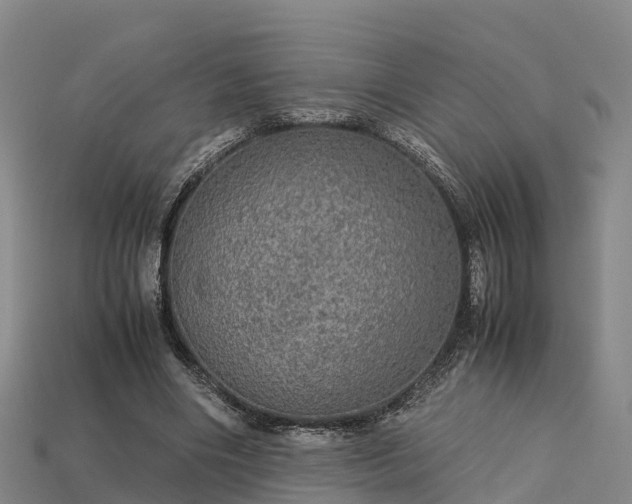 X0000113600490200909251159