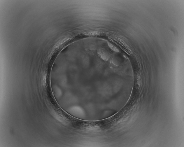 X0000113600491200909251159