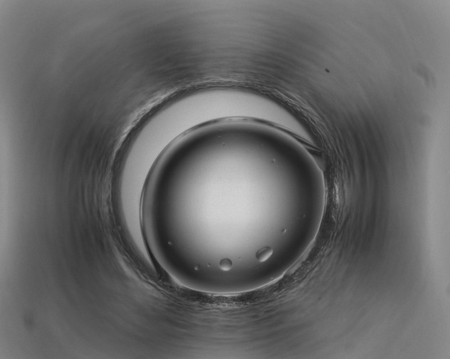 X0000113600492200909251159