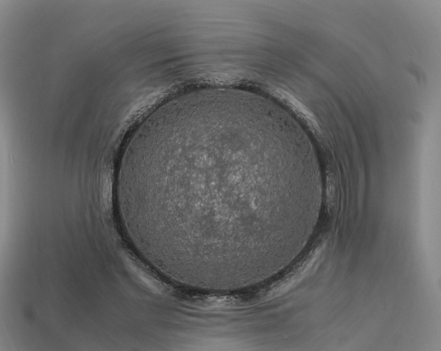 X0000113600493200909251159