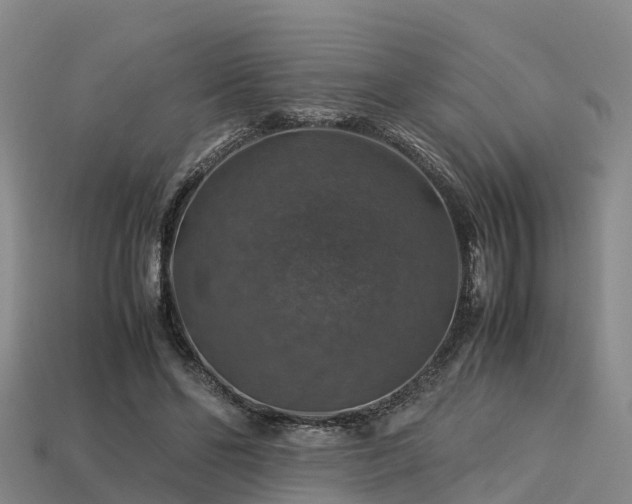 X0000113600494200909251159