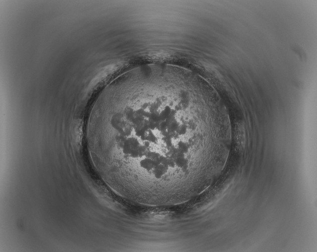 X0000113600495200909251159