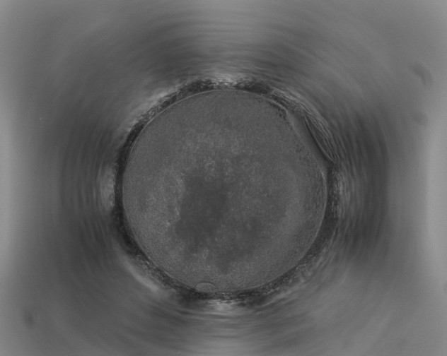 X0000113600496200909251159