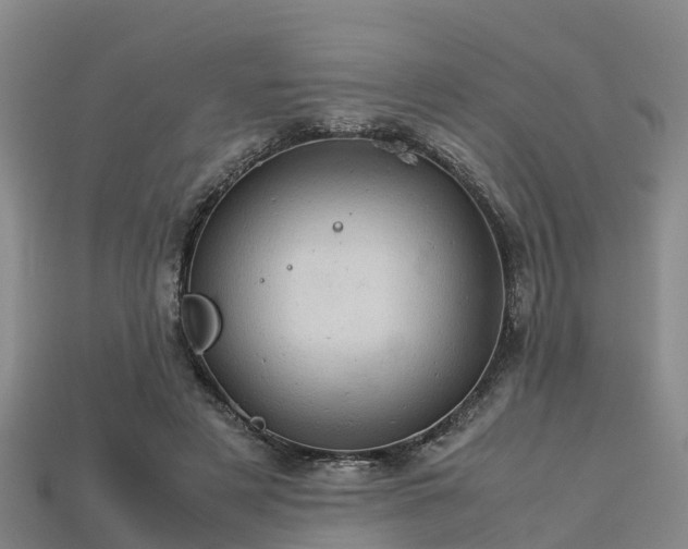 X0000113600497200909251159