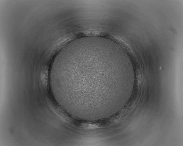 X0000113600498200909251159