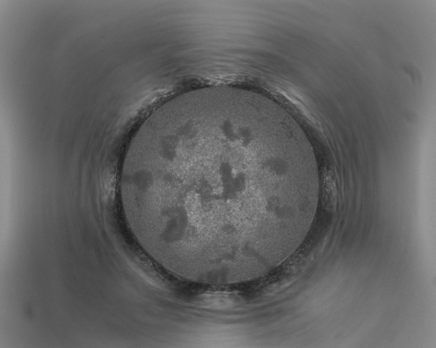 X0000113600499200909251159