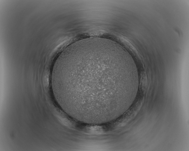 X0000113600501200909251159