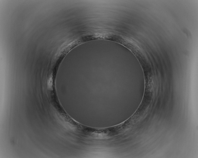 X0000113600502200909251159