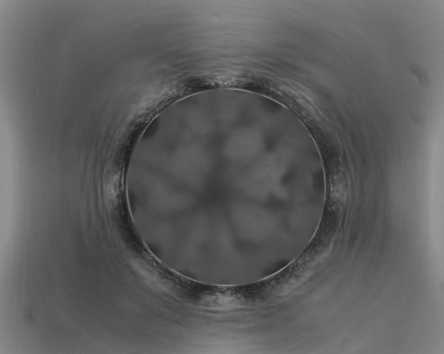 X0000113600503200909251159