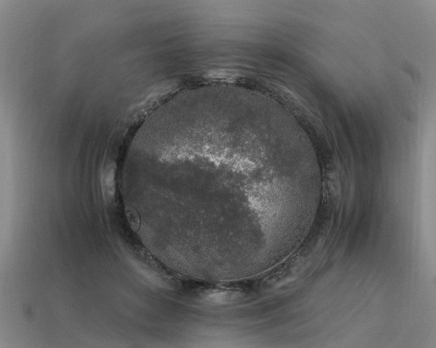 X0000113600504200909251159