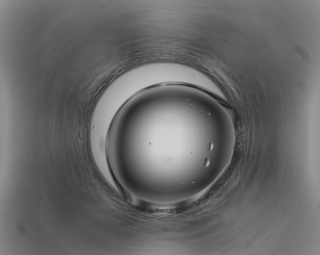 X0000113600505200909251159