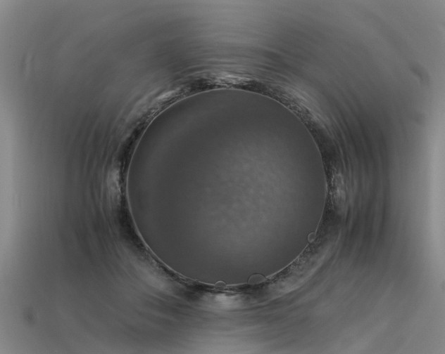 X0000113600506200909251159