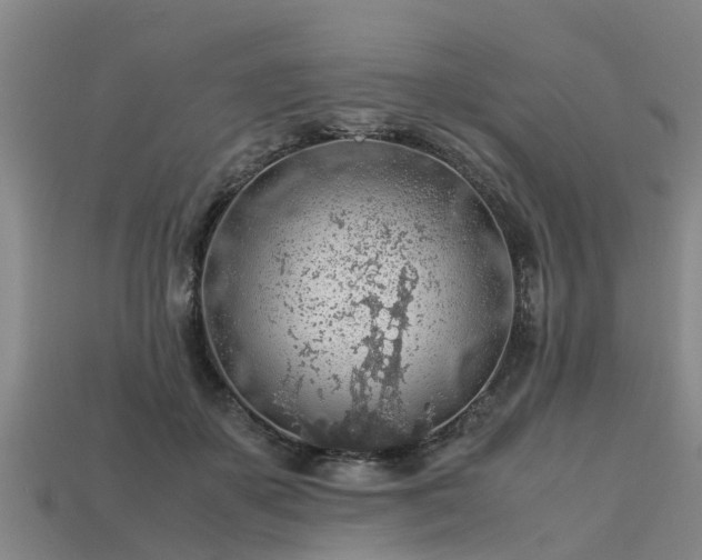 X0000113600507200909251159