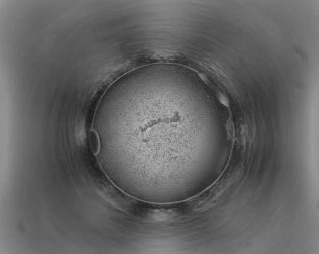 X0000113600508200909251159