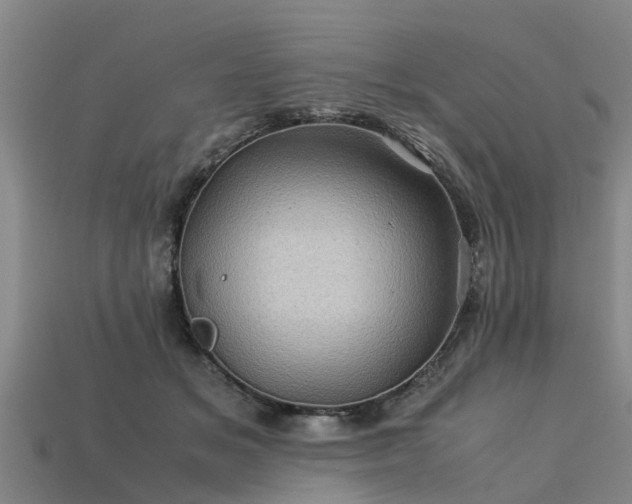 X0000113600509200909251159