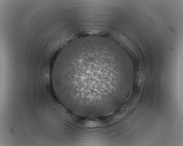 X0000113600510200909251159