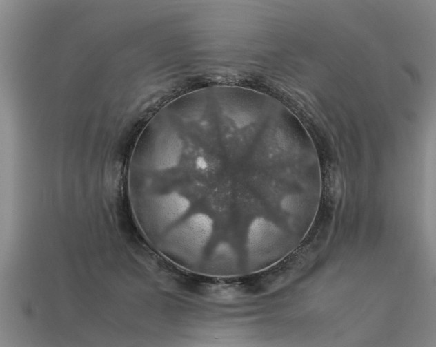 X0000113600511200909251159