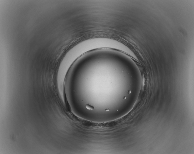 X0000113600512200909251159