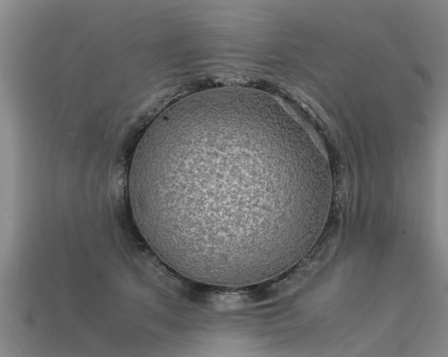 X0000113600513200909251159