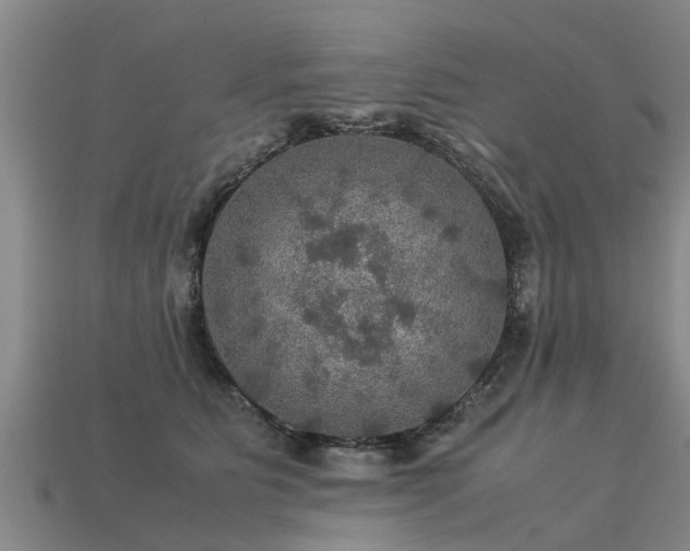 X0000113600515200909251159