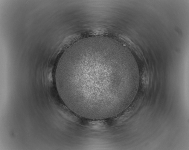 X0000113600516200909251159