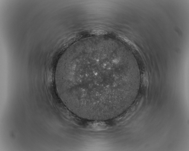 X0000113600517200909251159