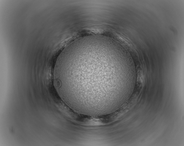 X0000113600518200909251159