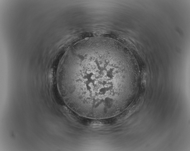 X0000113600519200909251159