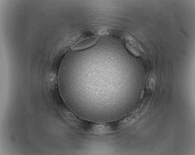 X0000113600521200909251159