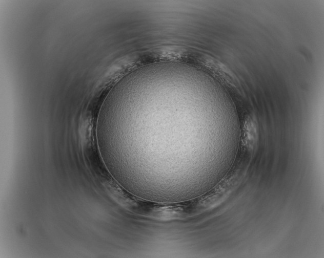 X0000113600522200909251159