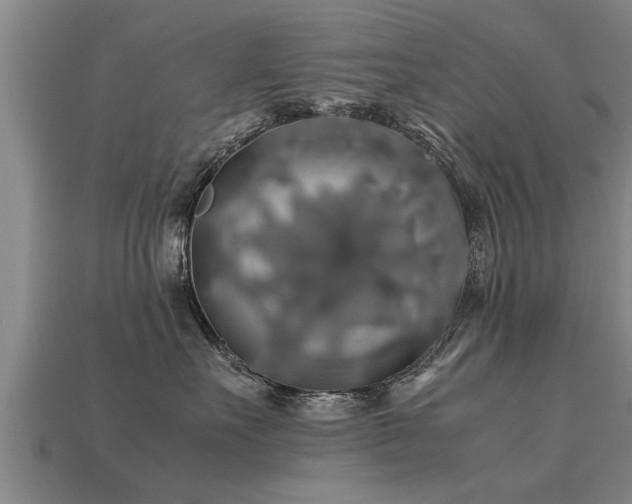 X0000113600527200909251158