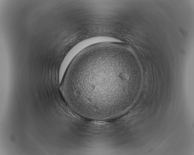 X0000113600528200909251158