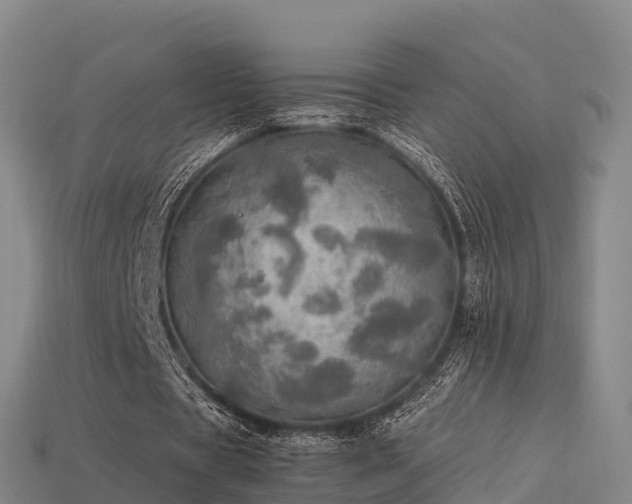 X0000113600529200909251158