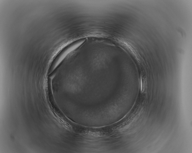 X0000113600531200909251158