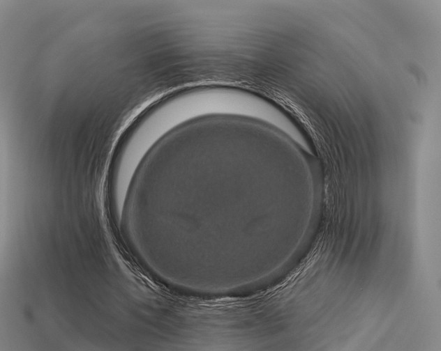 X0000113600532200909251158