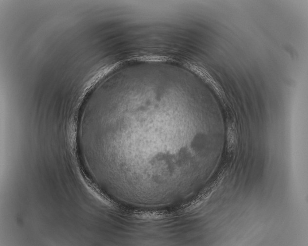 X0000113600533200909251158