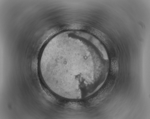 X0000113600534200909251158