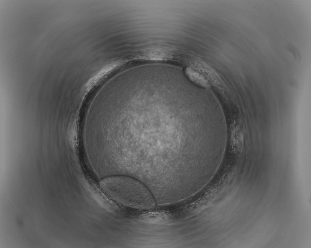 X0000113600536200909251158