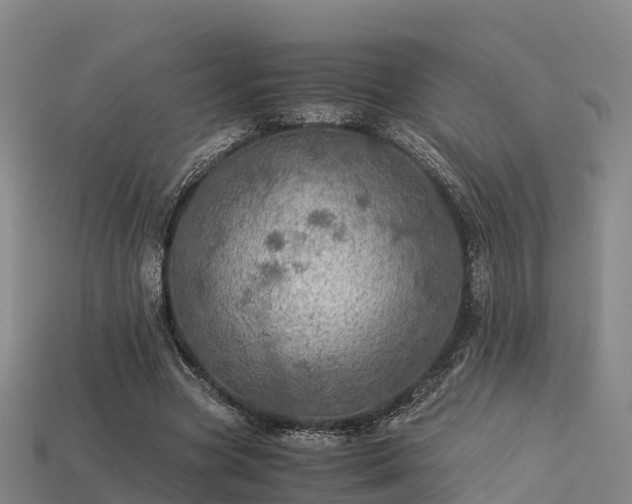 X0000113600537200909251158