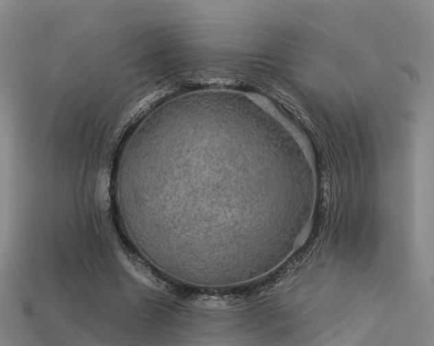 X0000113600538200909251158