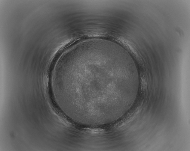 X0000113600539200909251158