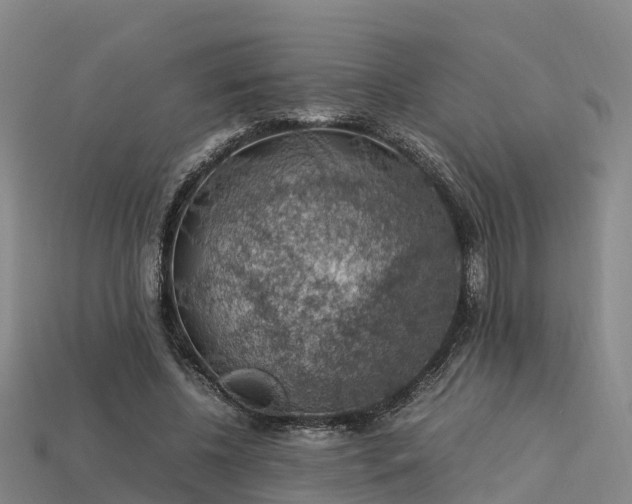 X0000113600540200909251158