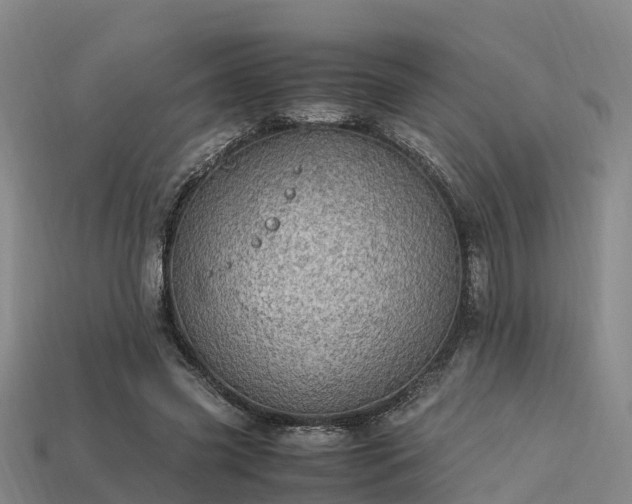 X0000113600541200909251158