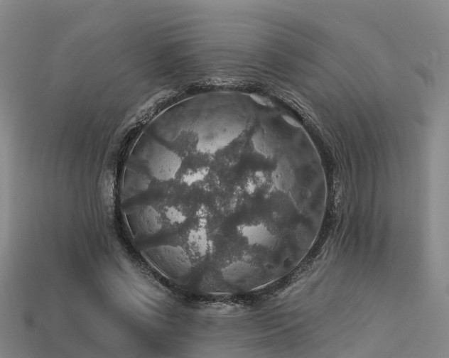 X0000113600542200909251158