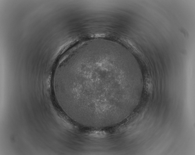 X0000113600543200909251158