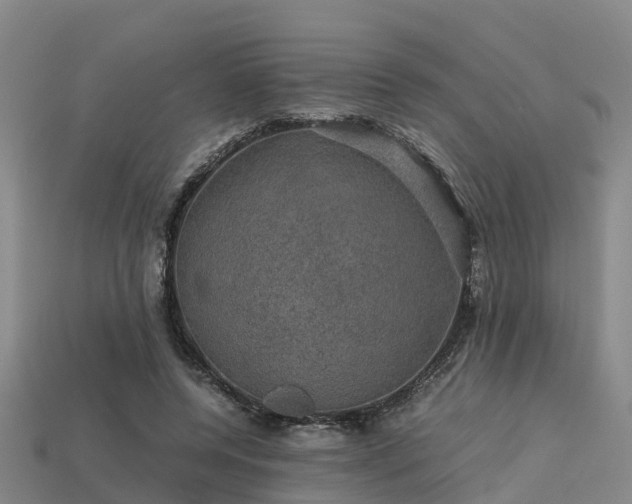 X0000113600544200909251158