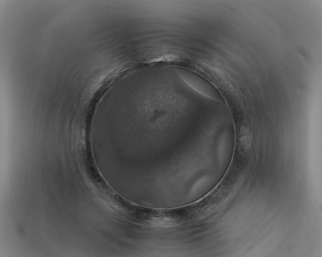 X0000113600547200909251158