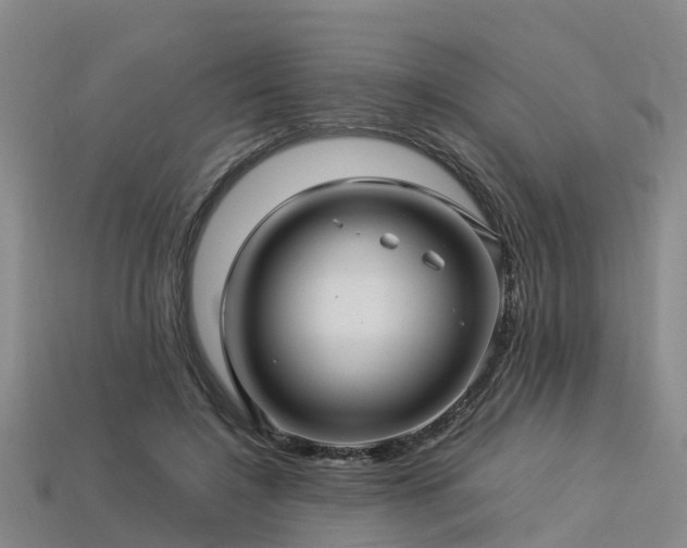 X0000113600548200909251158