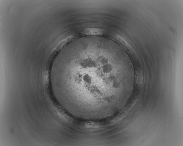 X0000113600549200909251158