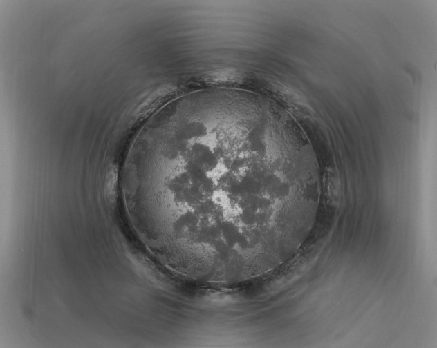 X0000113600550200909251158